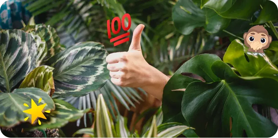 Benefits-of-certified-partners-thumbs-up