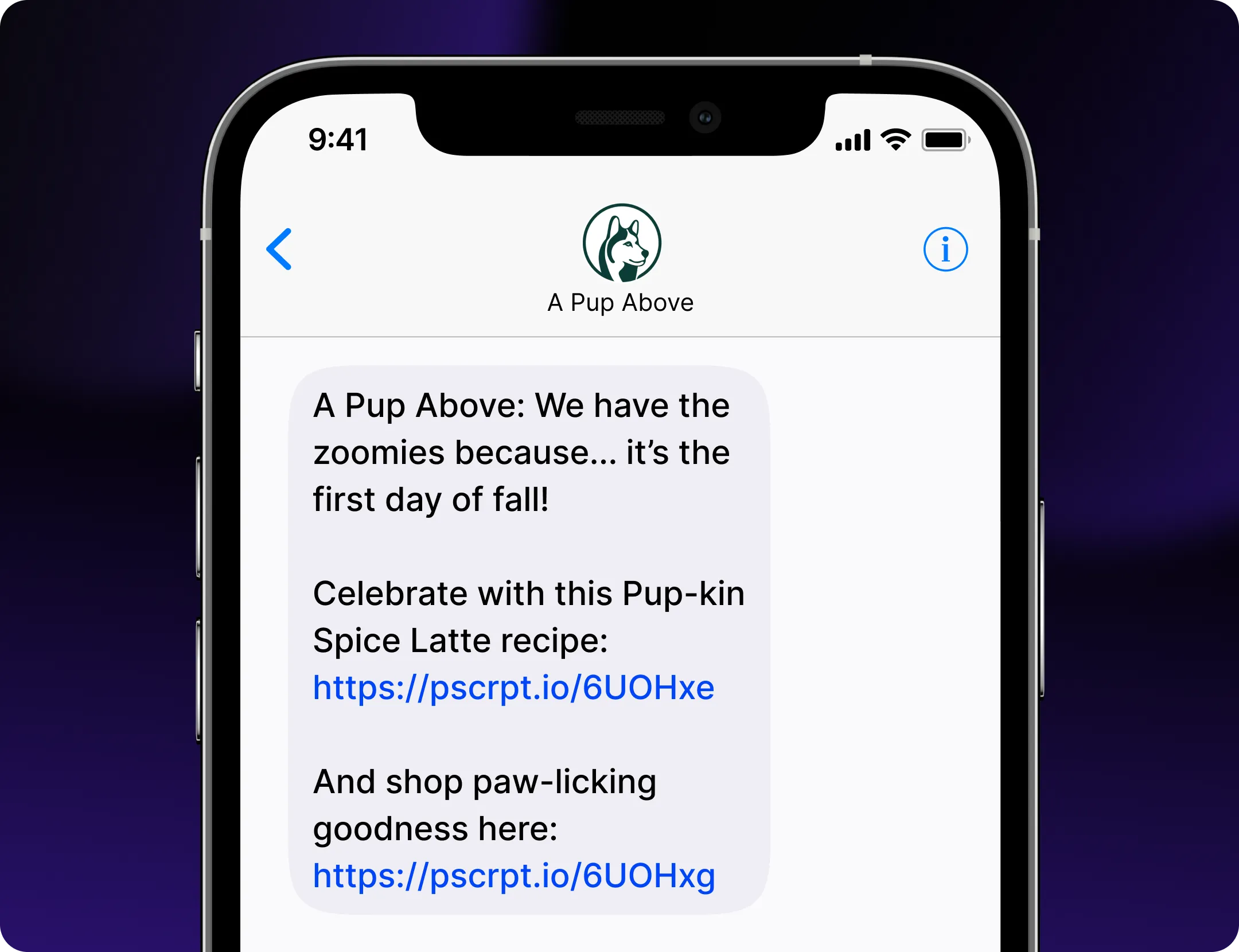 AllAroundFavorites001