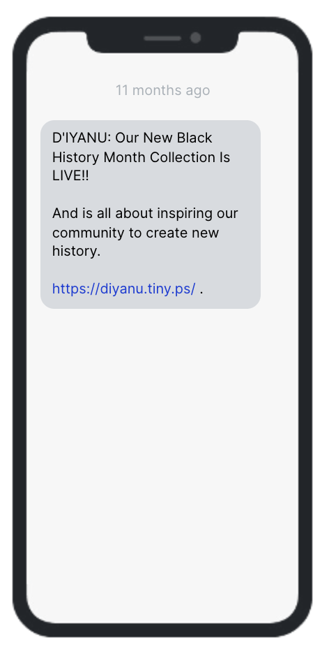 SMS marketing campaign from DIYANU