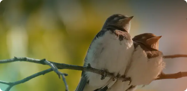 National Cuddle Up Day