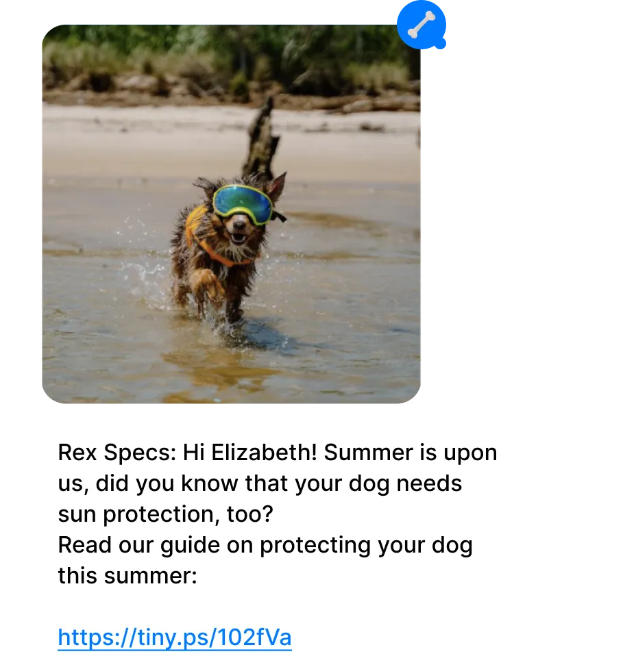 case-study_rexspecs_1