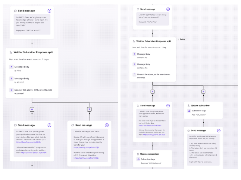 Lashify Post Purchase Flow