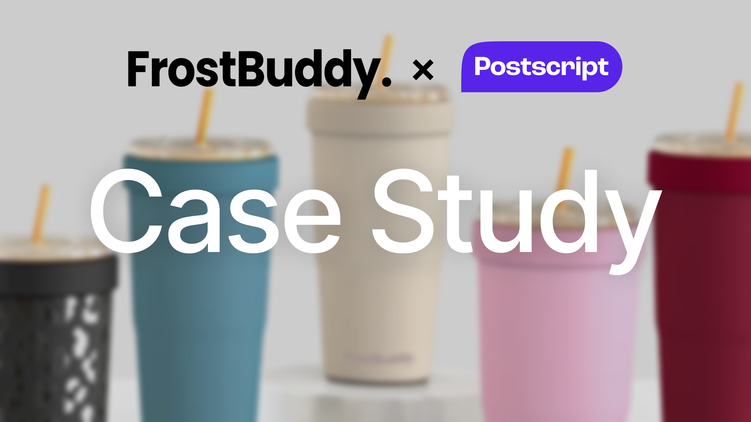 FROST BUDDY TO GO BUDDY | Accessories Gifts