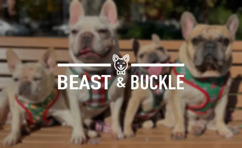 Beast_Buckle_CaseStudy-Thumbnail