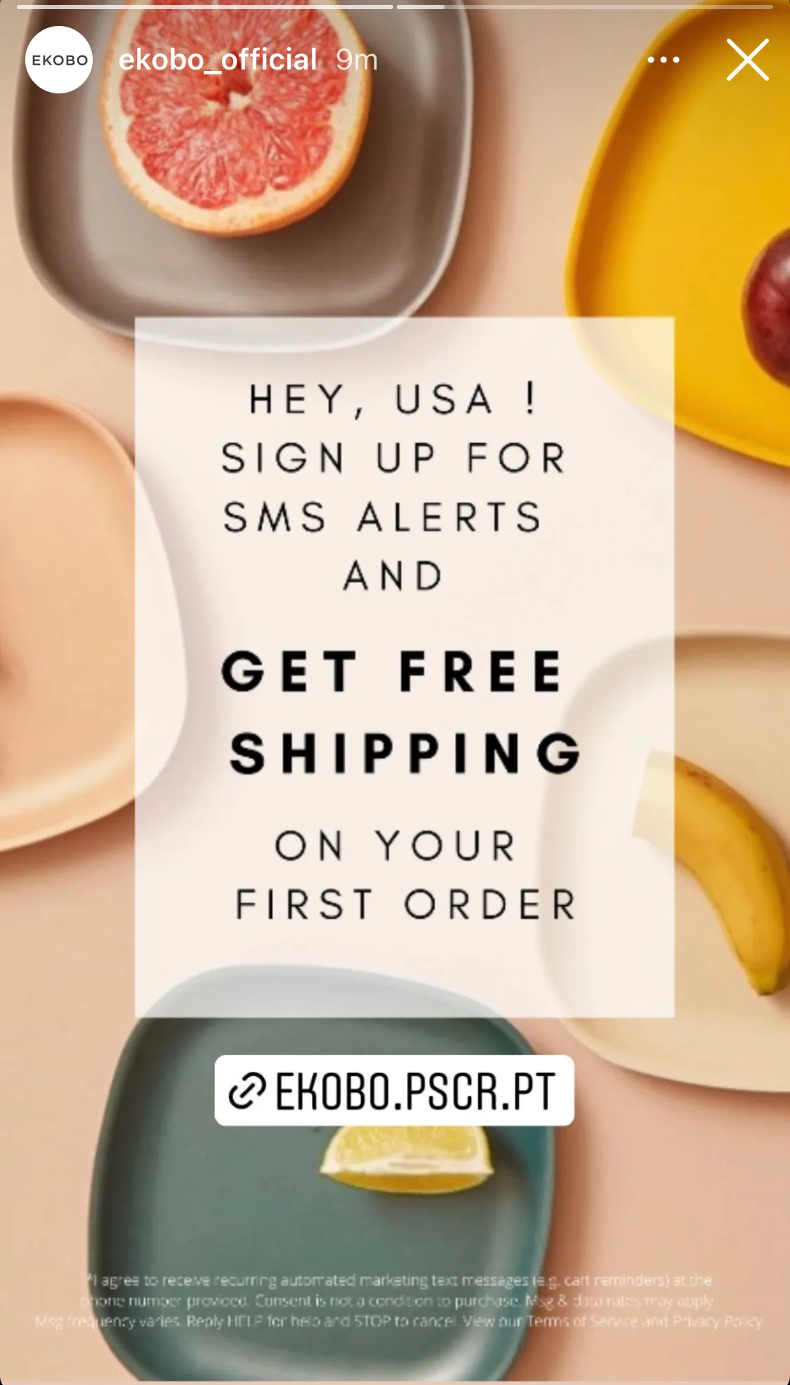 Ekobo IG Story - SMS Opt-In