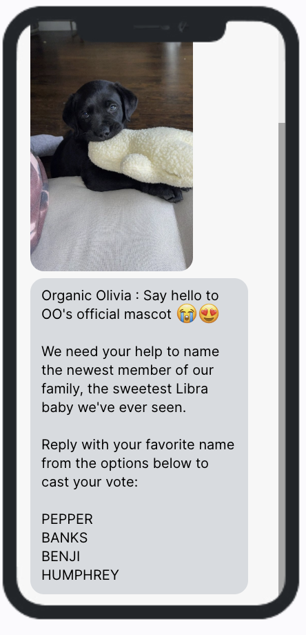 Organic Olivia Name My Dog SMS Campaign