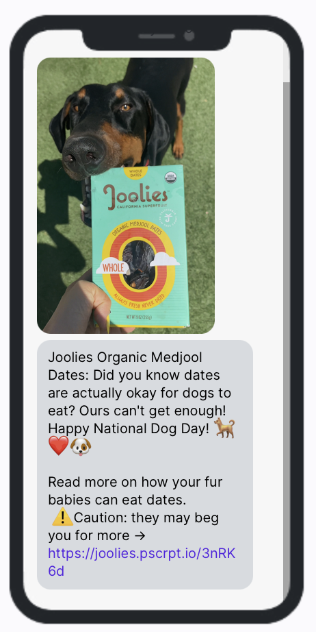 National Dog Day - SMS Campaign