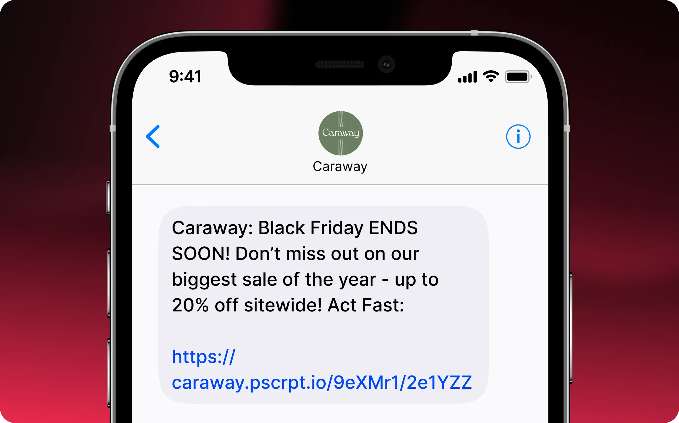 Highest Performing BFCM Campaigns003