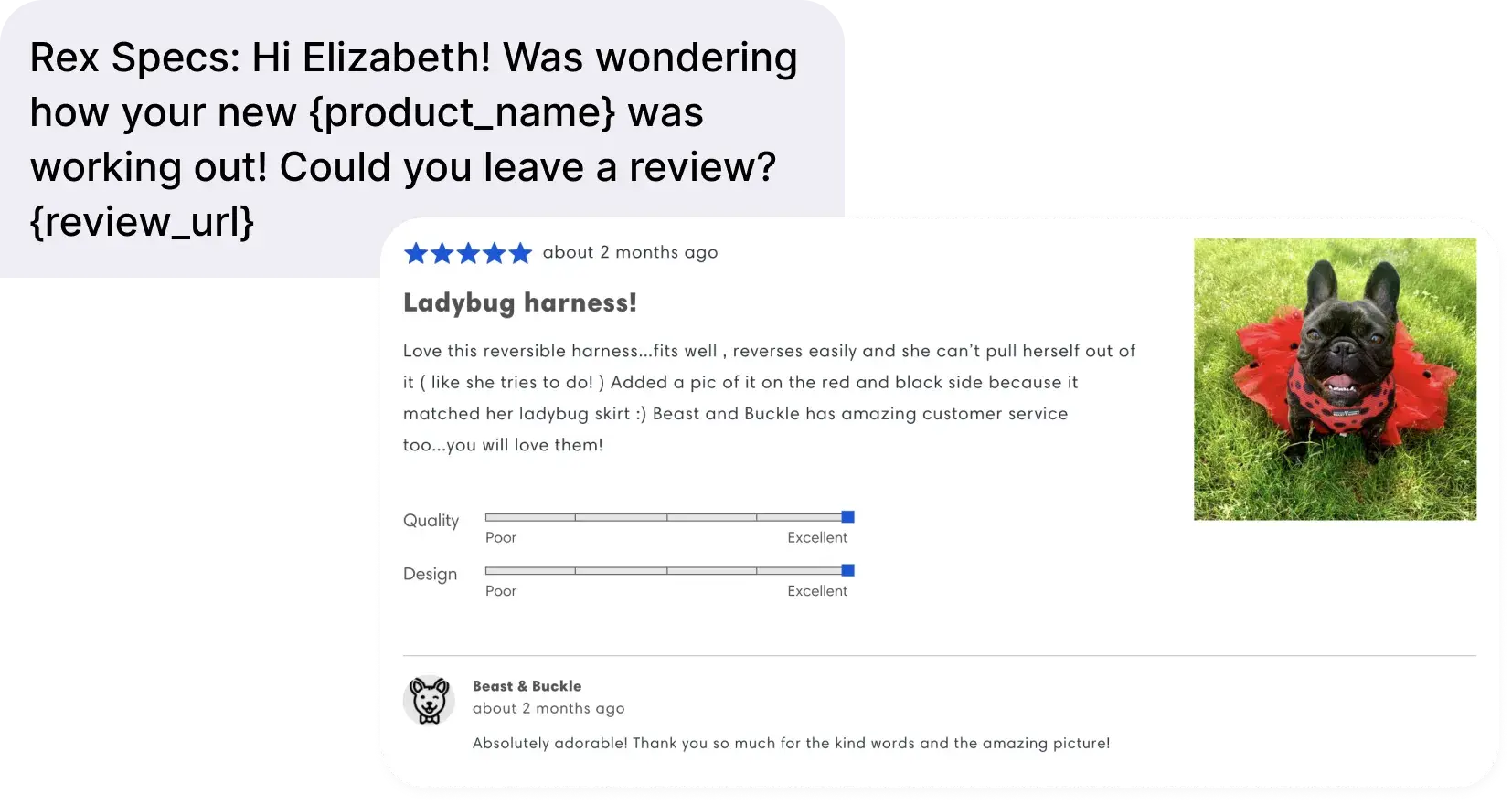 case-study_beastbuckle_2_2x