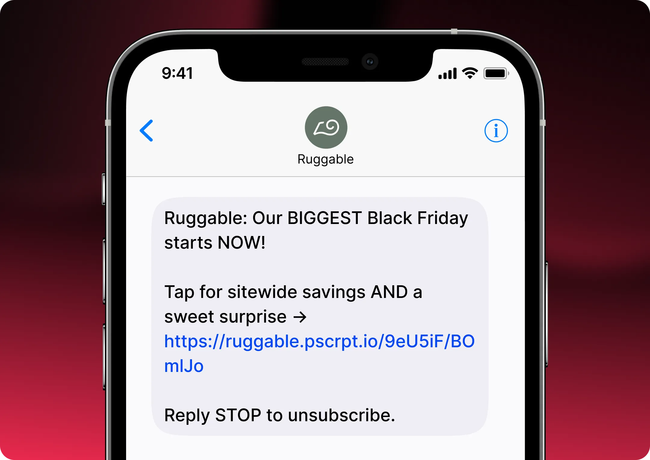 Highest Performing BFCM Campaigns005