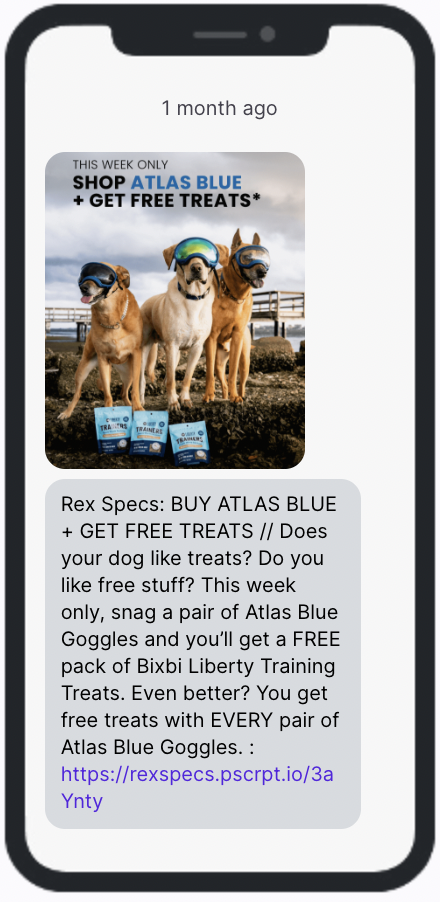 Rex Specs Free Gift SMS Campaign