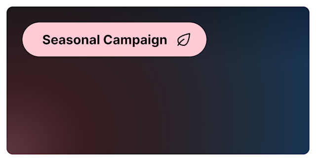 Back to School Bundle