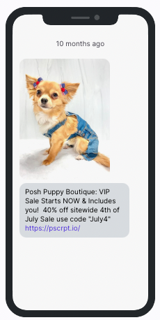 Posh Puppy 4th of July Example