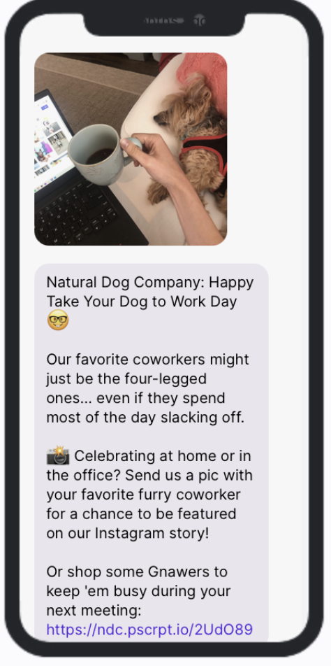 National Take Your Dog to Work Day - SMS Campaign