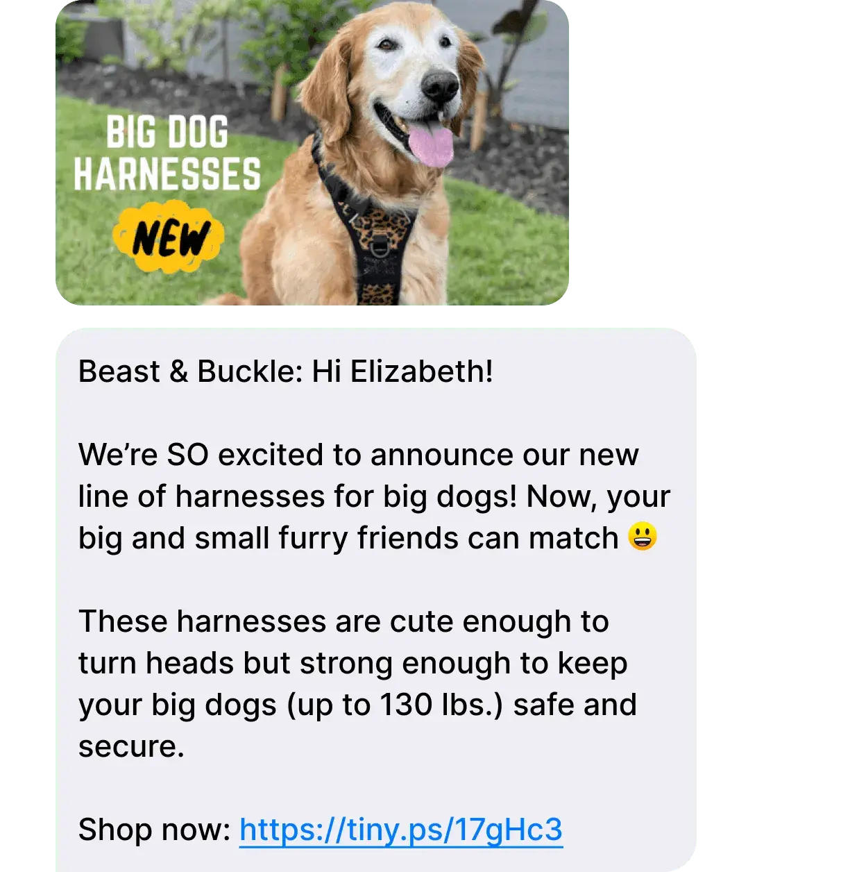 case-study_beastbuckle_3_2x