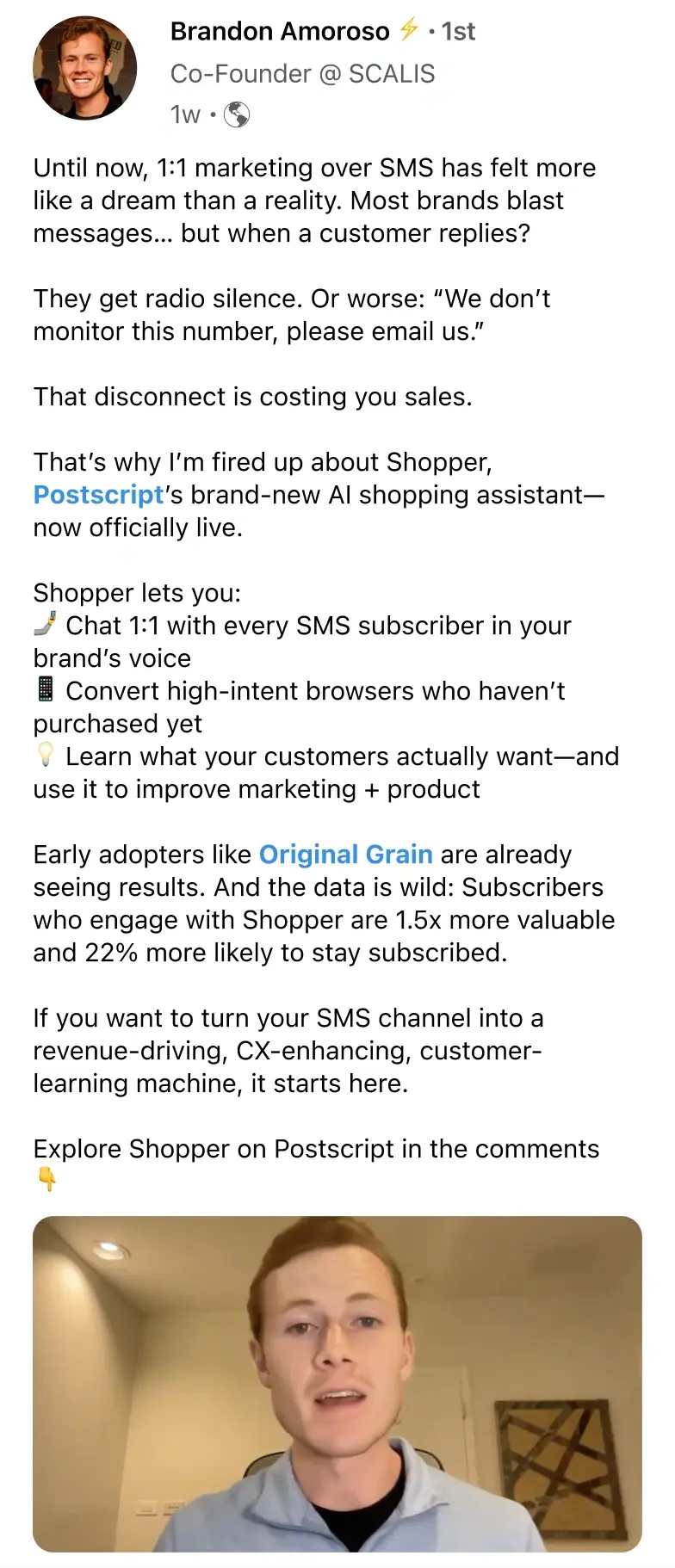 Brandon Amoroso File