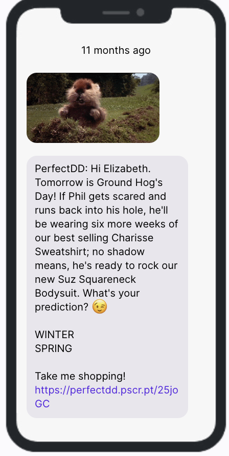 Groundhog Day SMS Campaign - Perfect DD