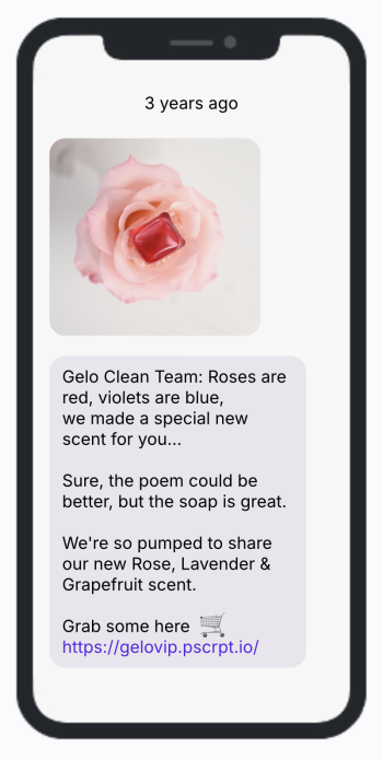 POEM Gelo Clean Team