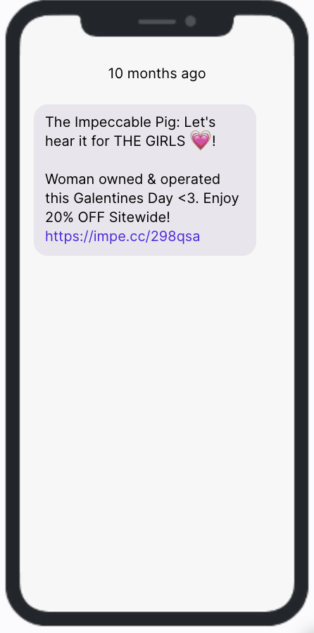 Galentine's Day SMS Campaign Example - Impeccable Pig