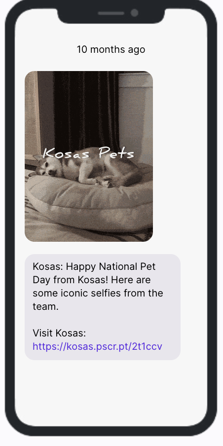 Kosas National Pet Day SMS Campaign