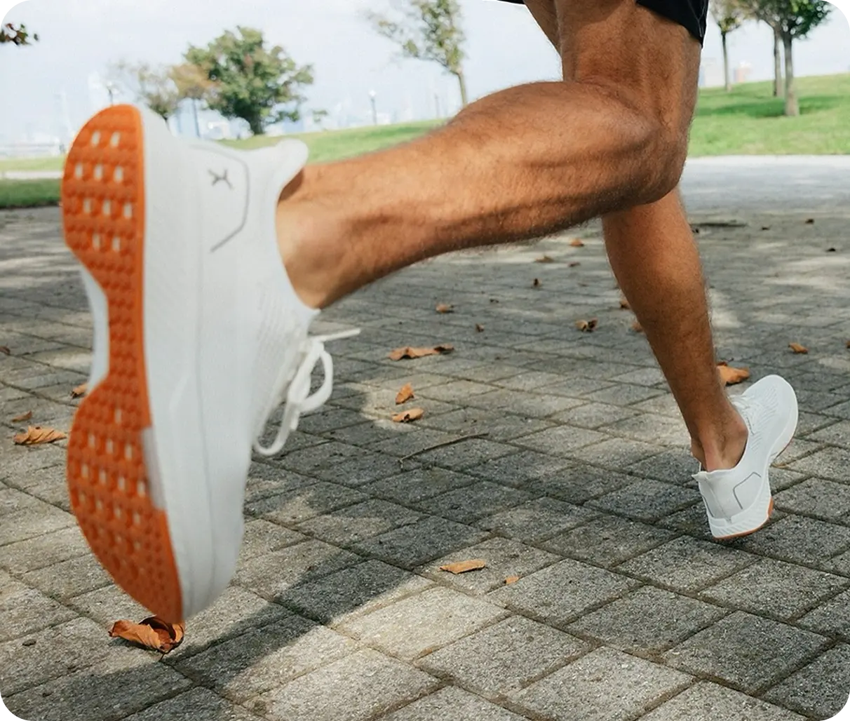 Proven profit gains with a repeatable model - File