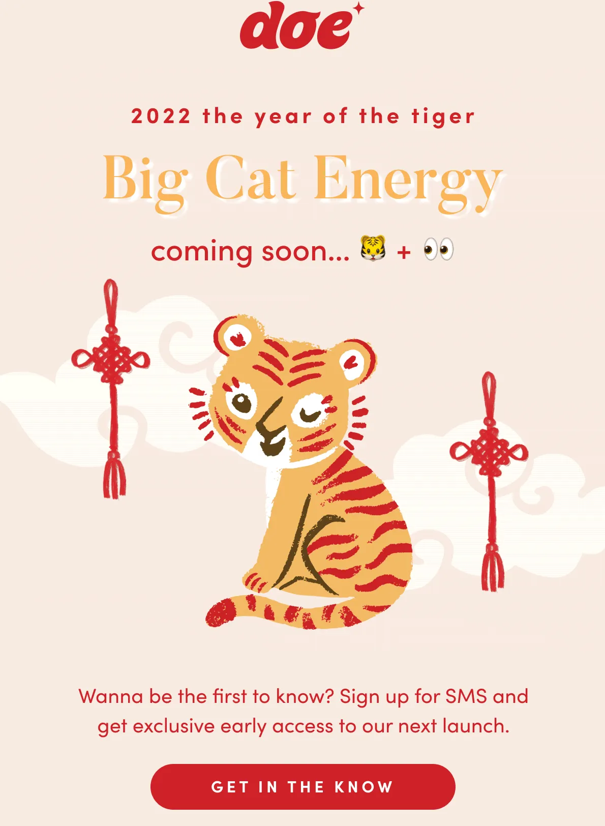 Doe Lashes Email Campaign - New Product Launch on SMS