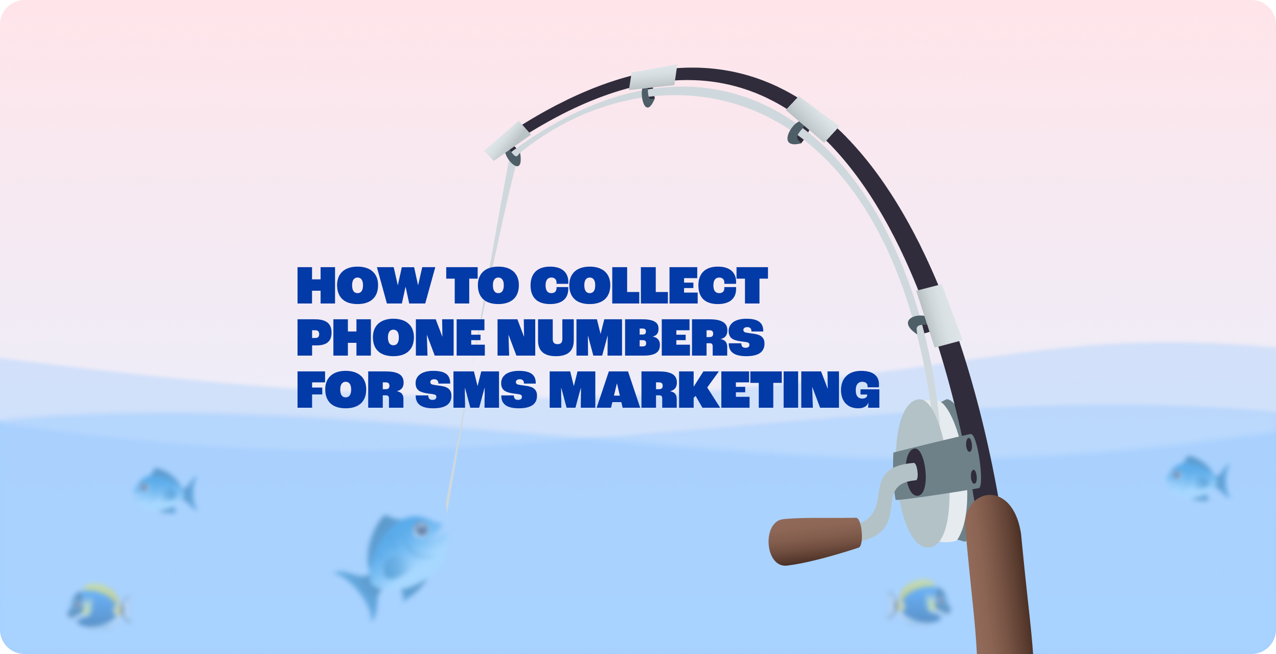 How to collect phone numbers sms marketing hero