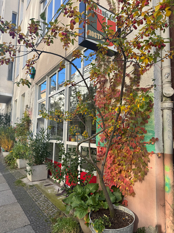 Herbst hält Einzug in der Graefestraße