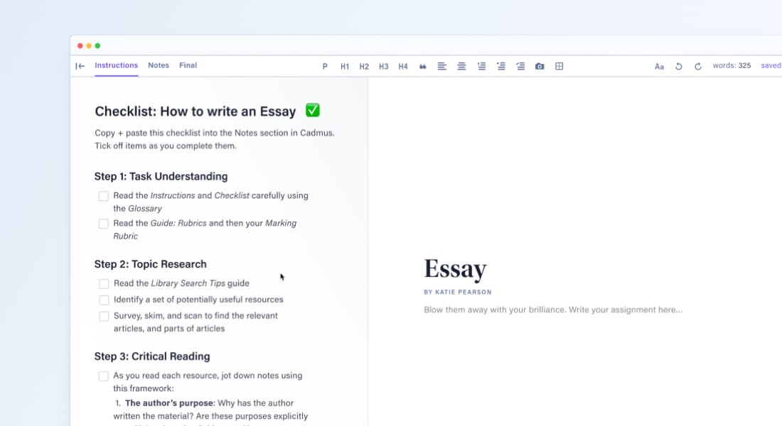 A scaffolded checklist from an Essay template