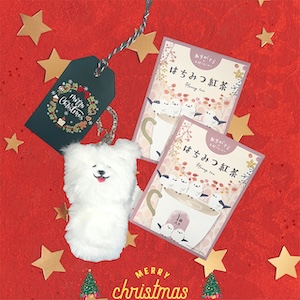 2025年のクリスマスは「giftee®」の「gifteeほしいものリスト」で