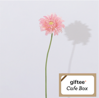 02 Bloom365×giftee Cafe Box