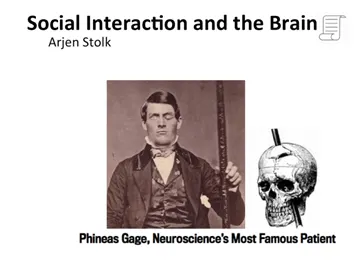 social-interaction-and-the-brain