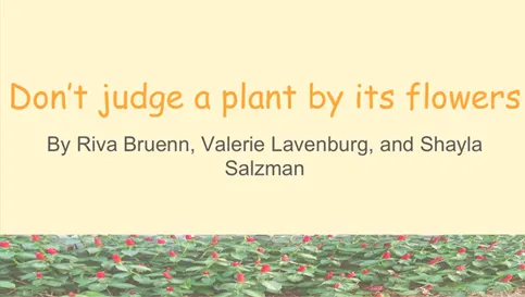 dont-judge-a-plant
