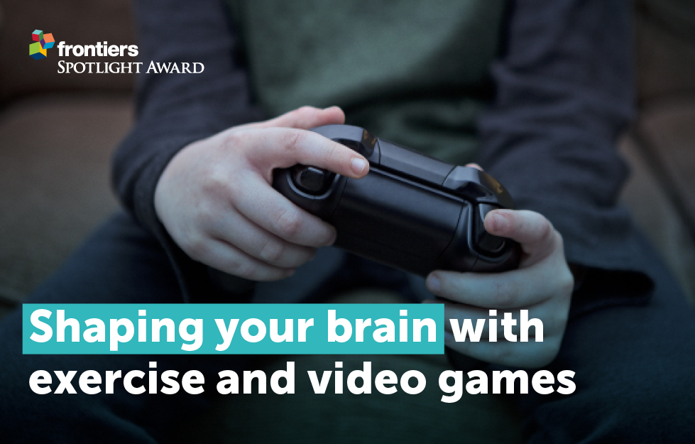 Ever Wondered What Playing Video Games Does to Your Brain? · Frontiers for  Young Minds