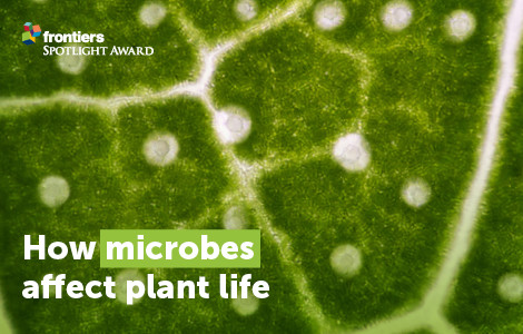 Plant-Microbiome