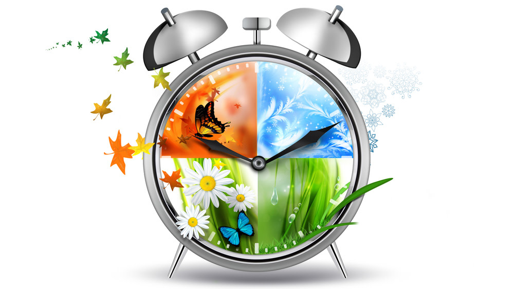 Fonctionnement de l'horloge biologique Body clock, Rhythm art, Clock