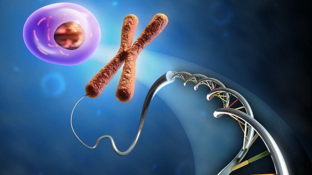 Developmental Epigenetics Developmental Epigenetics: New Frontiers in Cell and Developmental ...