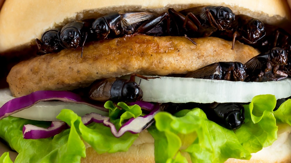 Edible insects? Lab-grown meat? The real future food is lab-grown ...