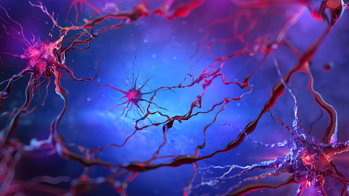 Neuron Grid Infographic: How grid cells in the brain help us navigate the world