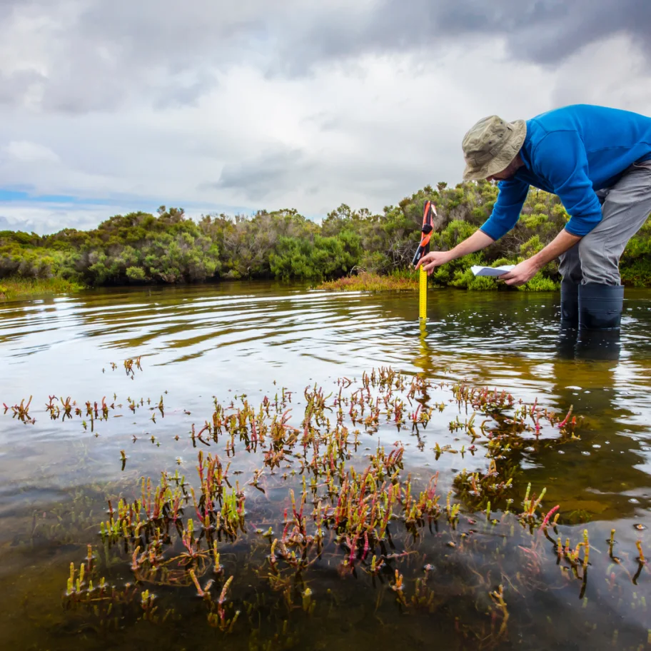 square-scientist-measuring-water-depth-to-install-water-level-data-loggers-in-a-coastal-wetland-to-understand-inundation-period-and-impact-on-ecosystem-services