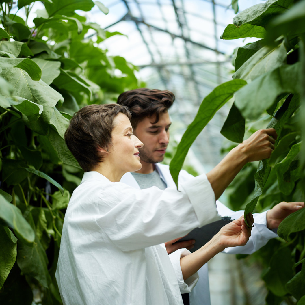 square-side-view-of-adult-woman-and-man-in-white-coats-taking-care-and-looking-after-lush-green-vegetation-inside-of-industrial-complex
