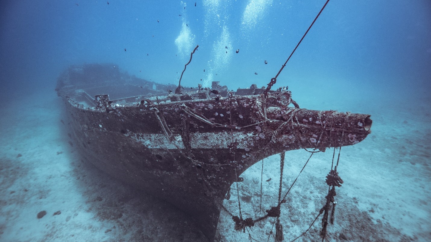 New study finds 19th century wooden shipwrecks to be thriving habitats for  deep-sea microbiomes