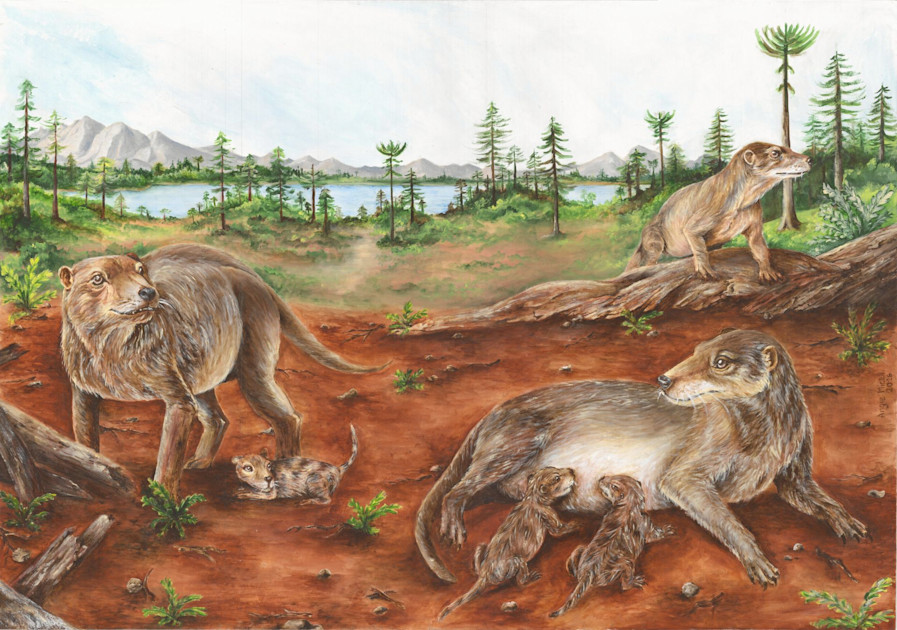 Photo: Frontiers Chiniquodon theotonicus Fossil Pushes Back Timeline of Live Birth