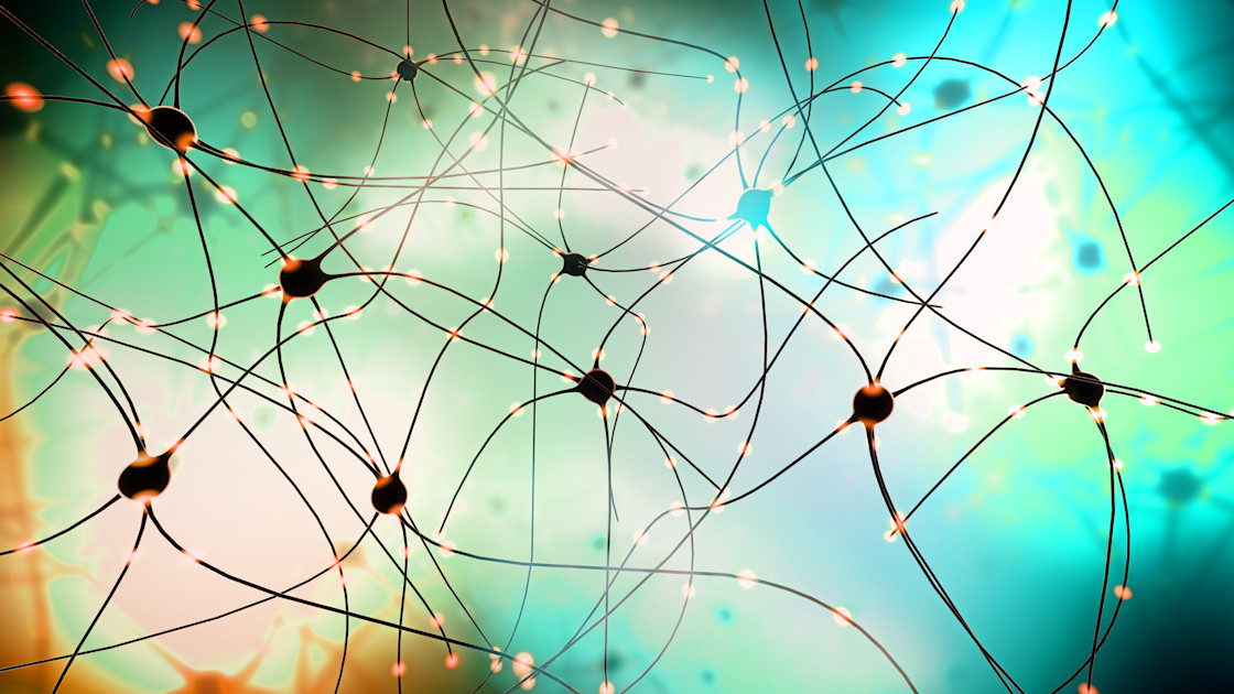 Mini brain organoids ‘reading’ Braille marks key step towards biohybrid computing Mini brain organoids ‘reading’ Braille marks key step towards biohybrid computing