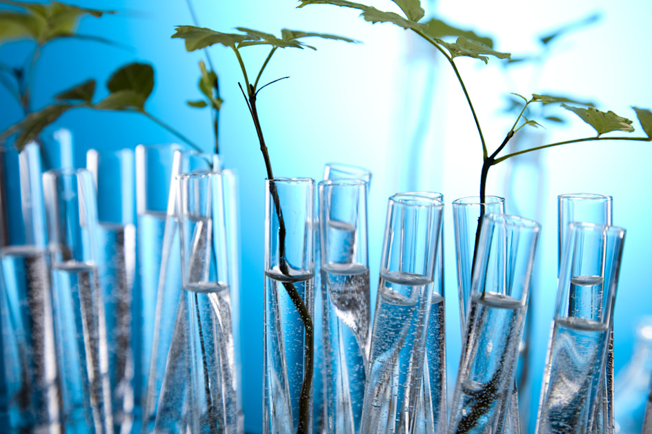 Environmental Sciences in the 21st Century