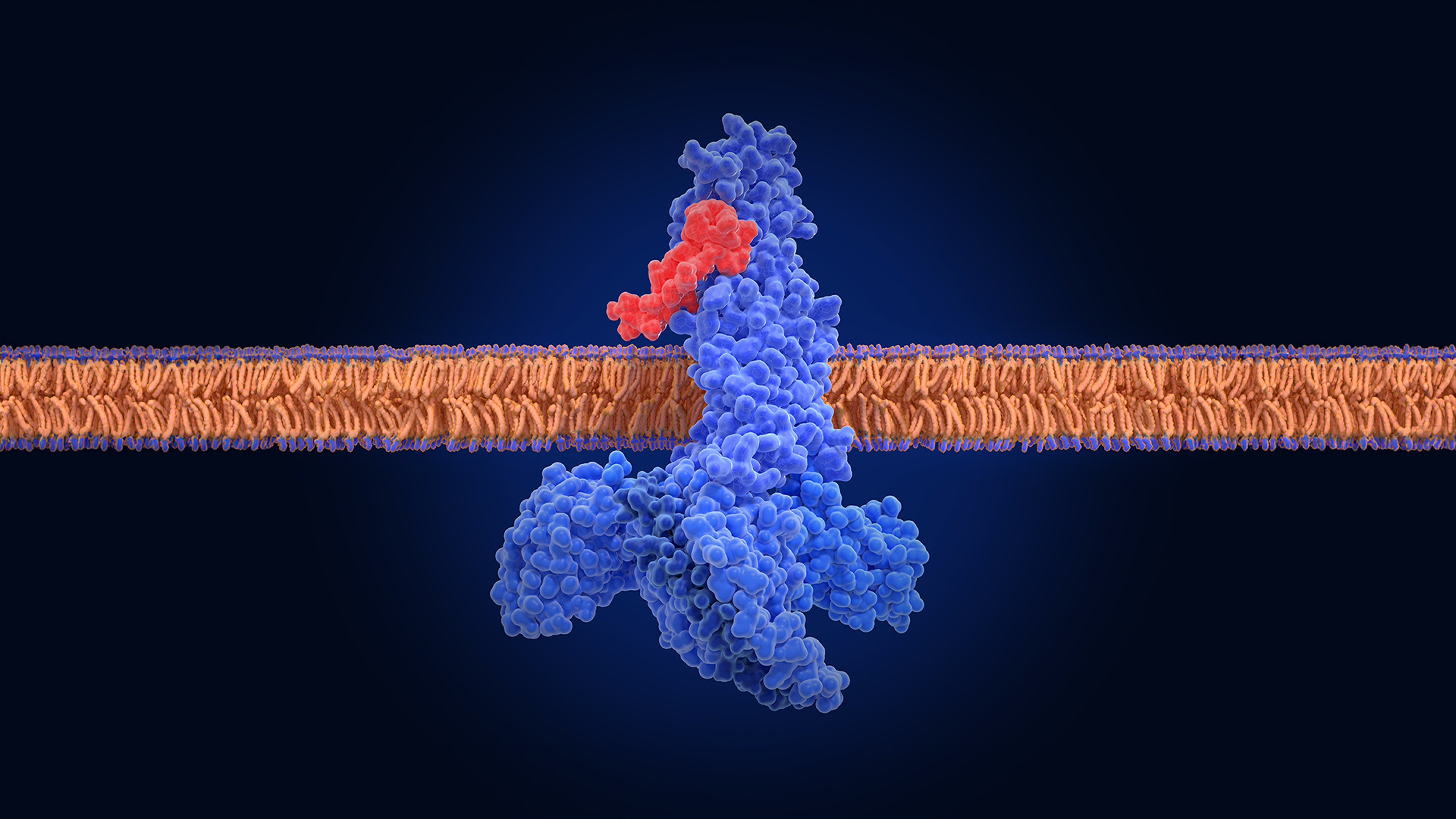 Frontiers in Science: Rebalancing the body’s cellular communication ...
