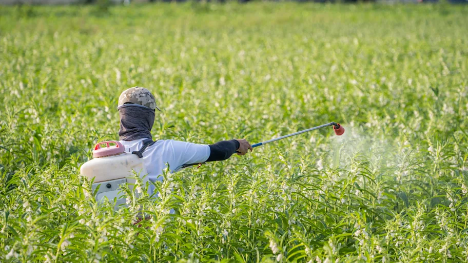 Weedkiller Glyphosate May Be Fueling Drug-Resistant Superbugs in Hospitals, New Study Reveals