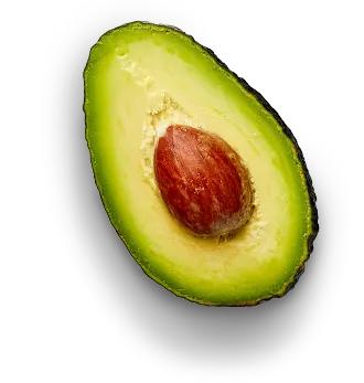 What Is Avocado?