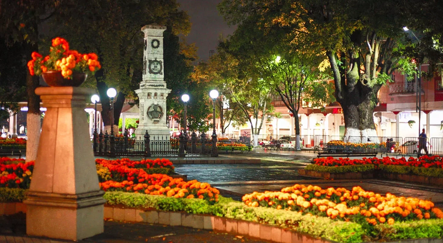 img-CARD\_PROMO\_FARE-4