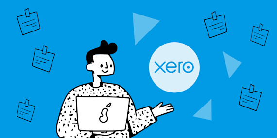 What is Xero? A complete guide to features, pricing, and use cases